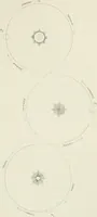 An illustration from Lectures on astronomical theories (1876)