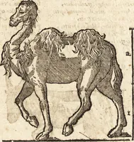 An illustration from Varia conmensuracion para le escultura y arquitectura (1675)