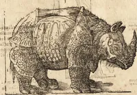 An illustration from Varia conmensuracion para le escultura y arquitectura (1675)