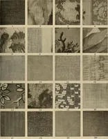 Picture 391 of 482 from Decorative textiles; an illustrated book on coverings for furniture, walls and floors, including damasks, brocades and velvets, tapestries, laces, embroideries, chintzes, cretonnes, drapery and furniture trimmings, wall papers, carpets and rugs, tooled and illuminated leathers (1918), leaf 382