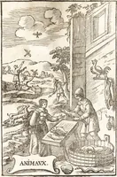Picture 59 of 128 from Le vray et methodique cours de la physique resolutiue, vulgairement dite chymie : representé par figures generales & particulieres : pour connoistre la theotechnie ergocosmique, c'est à dire, l'art de Dieu, en l'ouurage de l'vniuers (1653), leaf 256