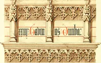 Picture 55 of 57 from Lacunar basilicae Sancti Macarii, aberdonensis: the heraldic ceiling of the cathedral church of St. Machar, old Aberdeen (1888), leaf 232