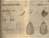 An illustration from Arcana naturae detecta (1695)