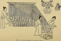 Picture 77 of 85 from Yarn and cloth making; an economic study; a college and normal schools text preliminary to fabric study, and a reference for teachers of industrial history and art in secondary and elementary schools (1918), leaf 249