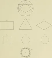 An illustration from The natural principles and analogy of the harmony of form (1842)