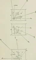 An illustration from Topographic surveying; including geographic, exploratory, and military mapping, with hints on camping, emergency surgery, and photography (1905)