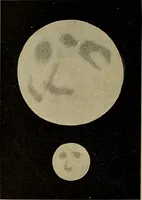 An illustration from Astronomy for amateurs (1904)