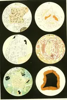 An illustration from The geology of New Hampshire : a report comprising the results of explorations ordered by the legislature (1874)