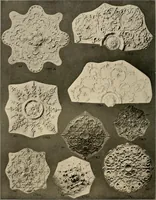 An illustration from The general catalogue of Jacobson & co (1915)
