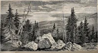 An illustration from Sixth annual report of the United States geological survey of the Territories, embracing portions of Montana, Idaho, Wyoming, and Utah : being a report of progress of the explorations for the year 1872 (1873)