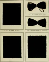 An illustration from Revue générale des mati`eres colorantes et des industries qui s'y rattachent (1908)