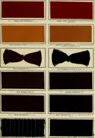 Picture 3 of 79 from Revue générale des mati`eres colorantes et des industries qui s'y rattachent (1908), leaf 22