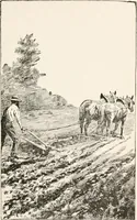 An illustration from In the child's world : morning talks and stories for kindergartens, primary schools and homes (1893)