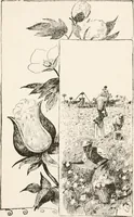 Picture 76 of 80 from In the child's world : morning talks and stories for kindergartens, primary schools and homes (1893), leaf 442