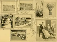 Picture 20 of 73 from Lamb's textile industry of the United States, embracing biographical sketches of prominment men and a historical résumé of the progress of textile manufacture from the earliest records to the present time; (1911), leaf 229