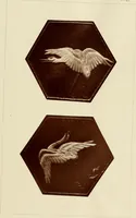An illustration from Needlework as art (1886)