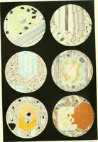 An illustration from The geology of New Hampshire : a report comprising the results of explorations ordered by the legislature (1874)