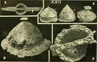 Picture 34 of 107 from The arts in early England (1903), leaf 285