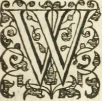 An illustration from Sylva sylvarvm : or, A naturall historie, in ten centuries (1627)