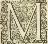 An illustration from Sylva sylvarvm : or, A naturall historie, in ten centuries (1627)