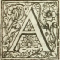 An illustration from Sylva sylvarvm : or, A naturall historie, in ten centuries (1627)