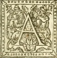 An illustration from The historie of the reigne of King Henry the Seventh ... Whereunto is now added a very usefull and necessary table (1629)