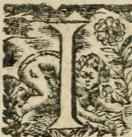 An illustration from Les oevvres morales et politiqves de Messire François Bacon (1633)