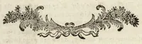 An illustration from 1745. Uveselitel'noe volshebstvo, ili Otkrytie chudesnykh i udivitel'nykh tainstvennykh opytov... (1791)