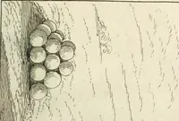 An illustration from Recueil d'ouvrages curieux de mathematique et de mecanique; ou, Description du cabinet de monsieur Grollier de Serviere. Avec près de 100 planches en taille-douce (1751)