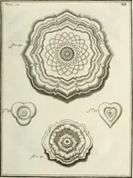 An illustration from Recueil d'ouvrages curieux de mathematique et de mecanique; ou, Description du cabinet de monsieur Grollier de Serviere. Avec près de 100 planches en taille-douce (1751)