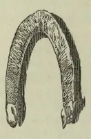 An illustration from A descriptive and historical account of the cotton manufacture of Dacca, in Bengal (1851)