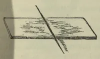 An illustration from A descriptive and historical account of the cotton manufacture of Dacca, in Bengal (1851)