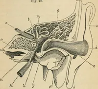 An illustration from Natural philosophy. including statics, hydrostatics, pneumatics, dynamics, hydrodynamics, the general theory of undulations, the science of sound, the mechanical theory of music, etc. : designed for the use of normal and grammar schools, and the higher classes in common schools (1867)