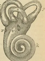 An illustration from Natural philosophy. including statics, hydrostatics, pneumatics, dynamics, hydrodynamics, the general theory of undulations, the science of sound, the mechanical theory of music, etc. : designed for the use of normal and grammar schools, and the higher classes in common schools (1867)