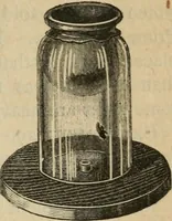 An illustration from Physics (1875)