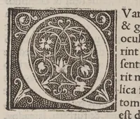 An illustration from Tractatus nonus ad regem Almansorem, de curatione morborum particularium .. (1534)