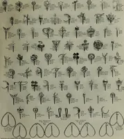 An illustration from 1905 catalogue : the gold and silversmiths (1905)