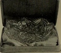 Picture 179 of 294 from 1905 catalogue : the gold and silversmiths (1905), leaf 79