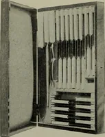An illustration from 1905 catalogue : the gold and silversmiths (1905)