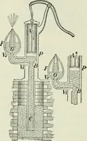 An illustration from The Ontario high school physics (1911)