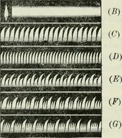 An illustration from The Ontario high school physics (1911)