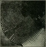 An illustration from The Ontario high school physics (1911)