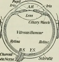 An illustration from The Ontario high school physics (1911)