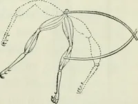 An illustration from The Ontario high school physics (1911)
