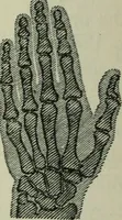An illustration from The Ontario high school physics (1911)