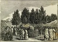 Picture 18 of 31 from The tongue of time, and star of the states: [electronic resource]: a system of human nature, with the phenomena of the heavens and earth. : American antiquities, remains of giants, geology, volcanoes, Egyptian and Indian magic, diet, dress, drinks, diseases, sleep, somnambulism, trances, resuscitation. : Also an account of persons with two souls, and of five persons who told colors by the touch (1840), leaf 266