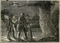 Picture 24 of 31 from The tongue of time, and star of the states: [electronic resource]: a system of human nature, with the phenomena of the heavens and earth. : American antiquities, remains of giants, geology, volcanoes, Egyptian and Indian magic, diet, dress, drinks, diseases, sleep, somnambulism, trances, resuscitation. : Also an account of persons with two souls, and of five persons who told colors by the touch (1840), leaf 294