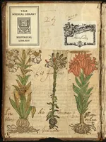 Picture 1 of 11 from Le grant herbier en Francoys (1540), leaf 1