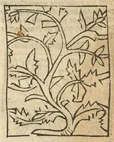 An illustration from Le grant herbier en Francoys (1540)