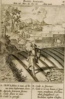 Picture 35 of 259 from Adnotationes et meditationes in Euangelia quae in sacrosancto Missae sacrificio toto anno leguntur: cum eorundem Euangeliorum concordantia (1607), leaf 119